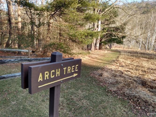 Arch Tree Trailhead