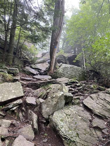 Uphill rocky climb - short but not easy