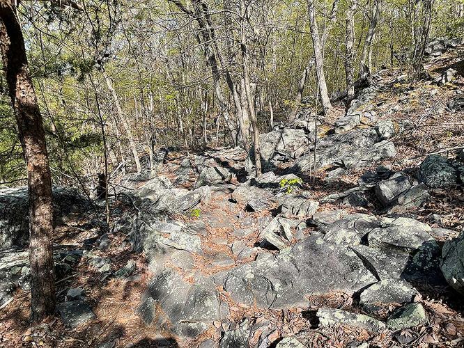 Picture 5 of Ashby Hollow and Rod Hollow Shelter Hike 042021