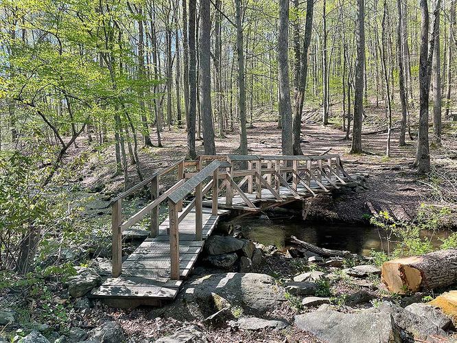 Picture 7 of Ashby Hollow and Rod Hollow Shelter Hike 042021