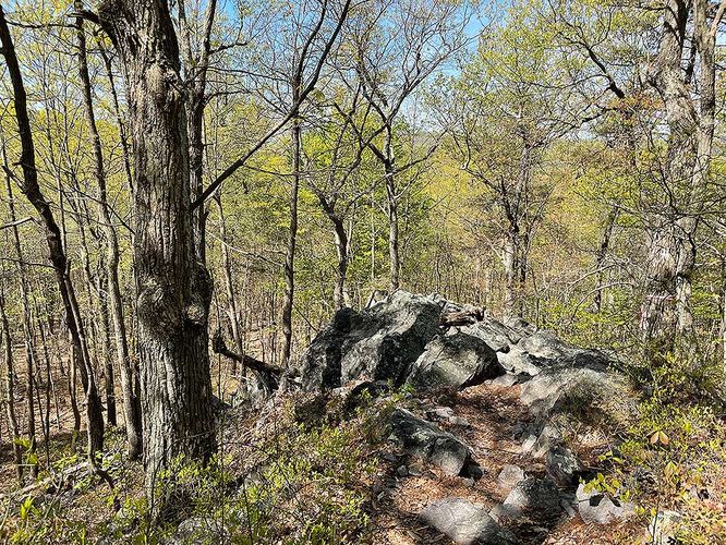 Picture 14 of Ashby Hollow and Rod Hollow Shelter Hike 042021