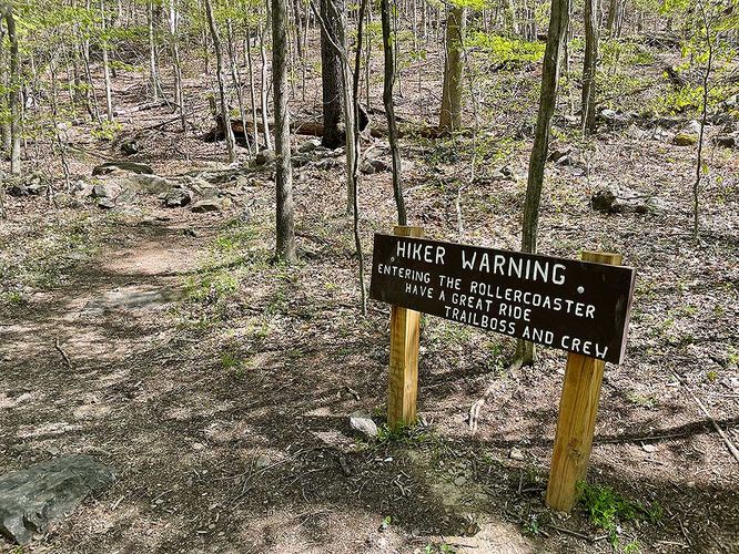 Picture 16 of Ashby Hollow and Rod Hollow Shelter Hike 042021