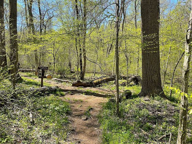 Picture 20 of Ashby Hollow and Rod Hollow Shelter Hike 042021