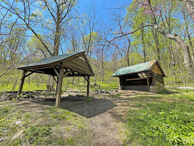 Picture 21 of Ashby Hollow and Rod Hollow Shelter Hike 042021