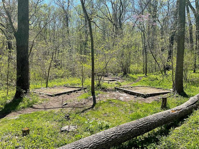 Picture 22 of Ashby Hollow and Rod Hollow Shelter Hike 042021