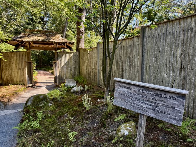 North entrance to the garden