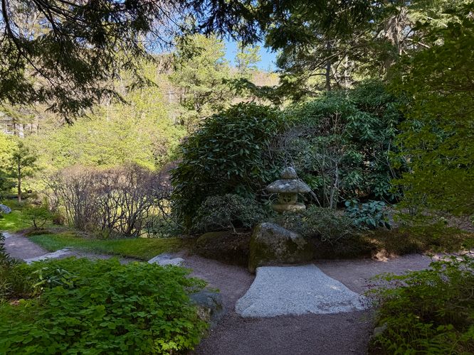 Picture 3 of Asticou Acalea Garden Trail