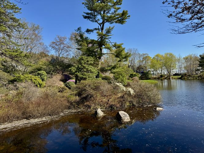 View of the pond