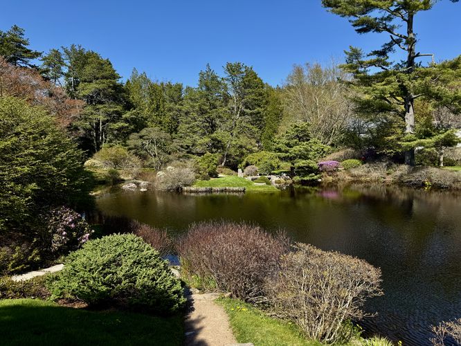 Scenic view of the pond with flowering azaleas across the water