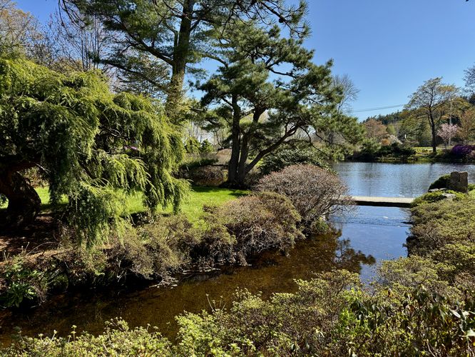 Scenic view of the creek and pond