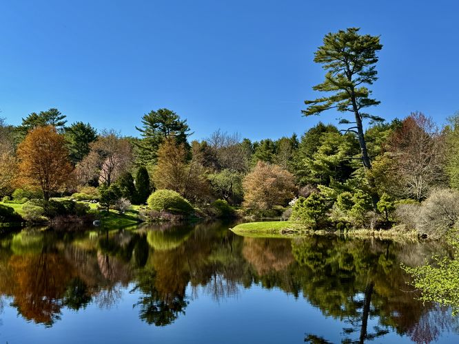 Default image for Asticou Azalea Garden Trail, a 0.3-mile trail in Mount Desert, ME (US)