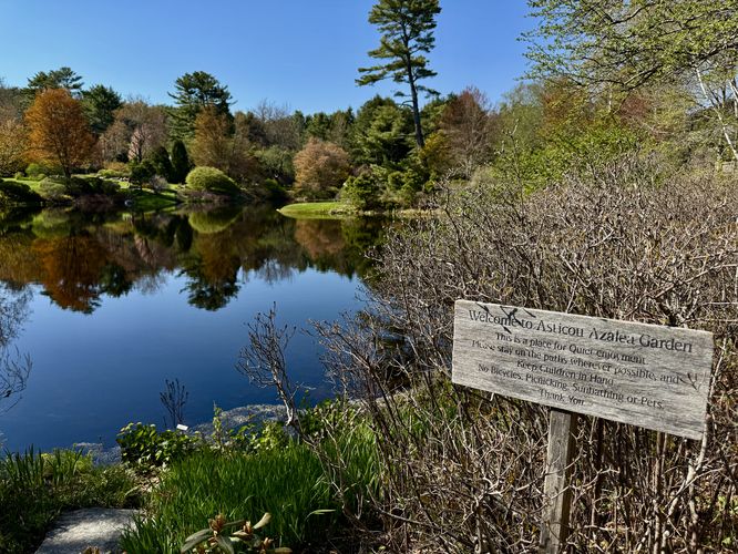 South entrance to the garden with a view of the pond