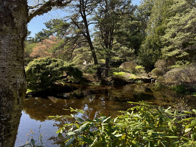 Small pond