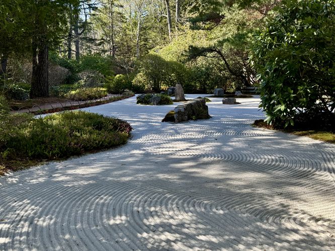 Japanese-inspired zen garden
