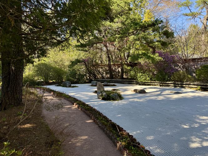 Walking along the zen garden