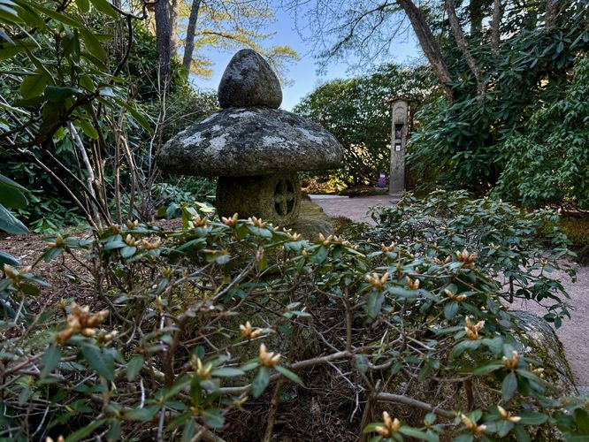 Picture 21 of Asticou Acalea Garden Trail