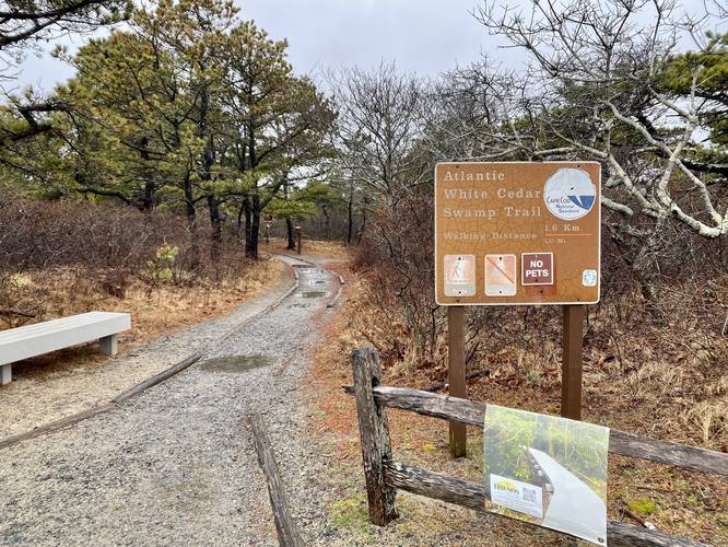 Atlantic White Cedar Swamp Trail trailhead