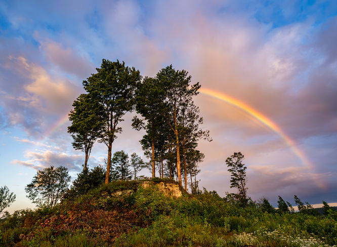 Morning Rainbow