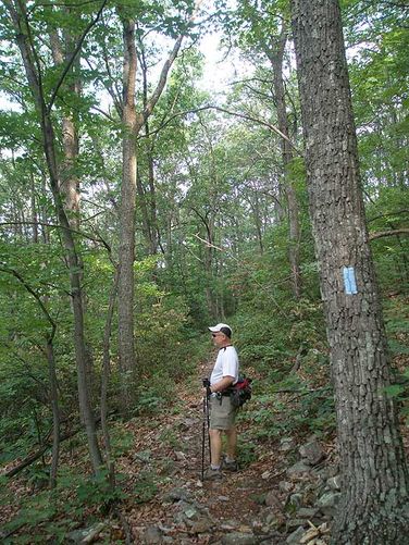 Picture 8 of Austin and Furnace Mountain Hike 062108