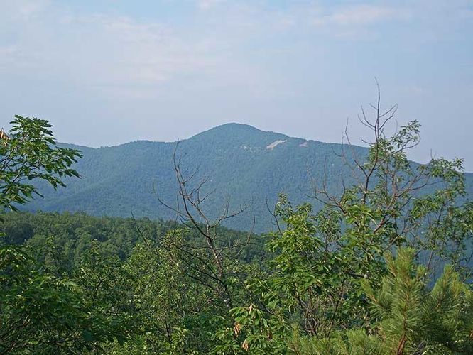 Picture 9 of Austin and Furnace Mountain Hike 062108