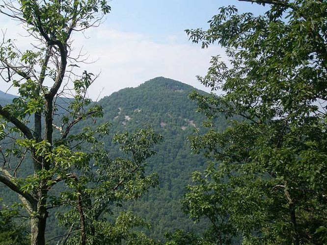 Picture 14 of Austin and Furnace Mountain Hike 062108