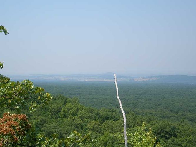 Picture 20 of Austin and Furnace Mountain Hike 062108