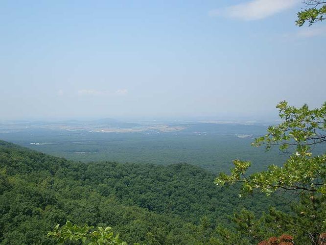 Picture 21 of Austin and Furnace Mountain Hike 062108