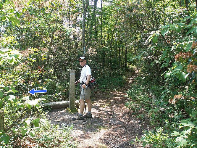 Picture 22 of Austin and Furnace Mountain Hike 062108