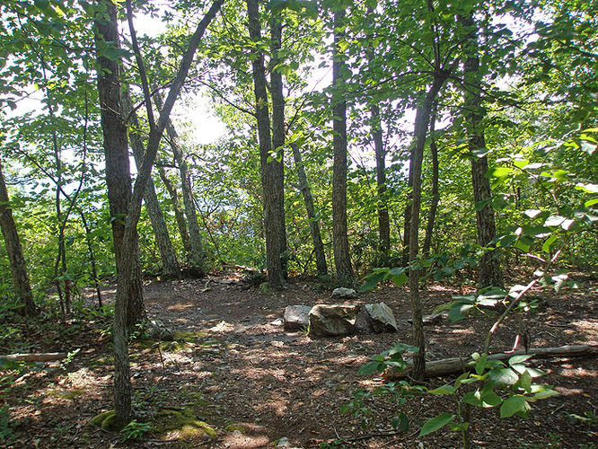 Picture 24 of Austin and Furnace Mountain Hike 062108