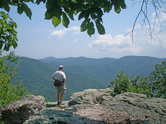Picture 25 of Austin and Furnace Mountain Hike 062108