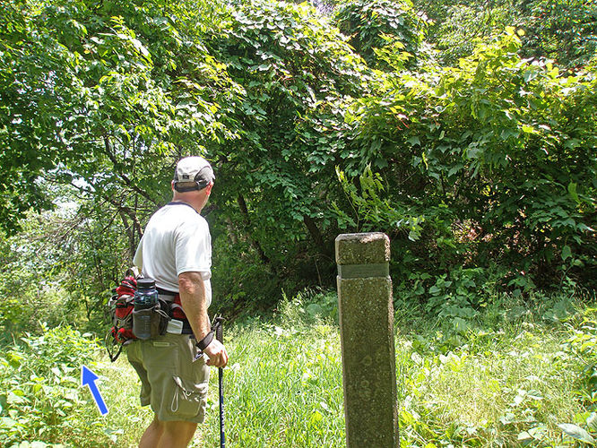 Picture 27 of Austin and Furnace Mountain Hike 062108