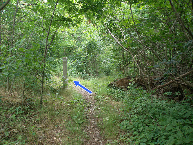Picture 28 of Austin and Furnace Mountain Hike 062108