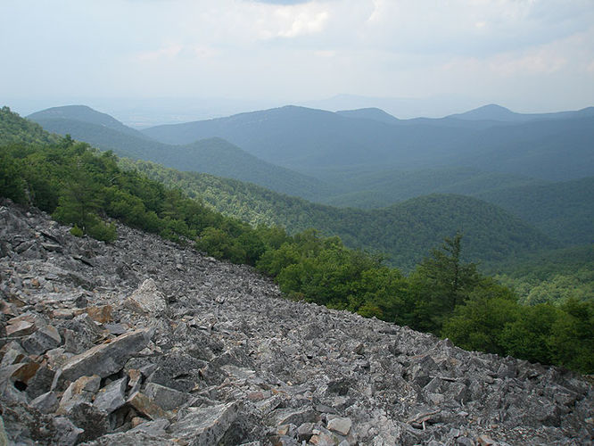 Picture 30 of Austin and Furnace Mountain Hike 062108