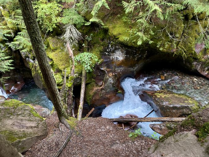 Waterfall in Avalanche Creek's turquoise water and moss gorge