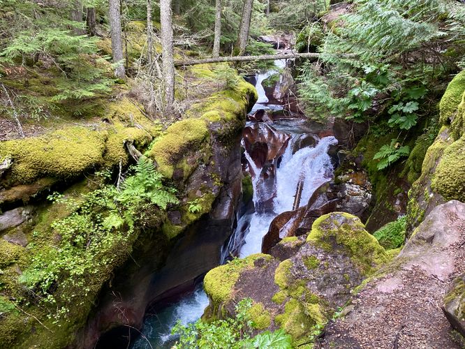 Waterfall in Avalanche Creek with turquoise water and moss-covered gorge
