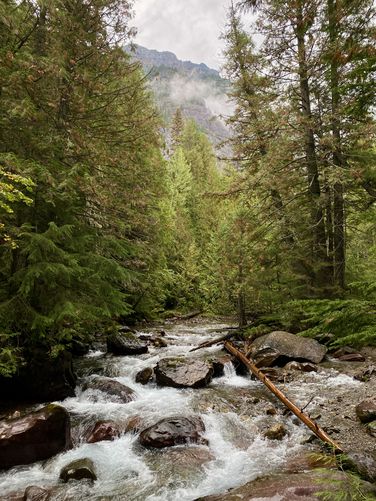 View of Avalanche Creek
