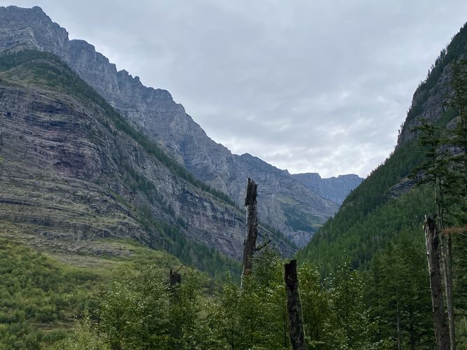 View of alpine mountains from the Avalanche Lake Trail