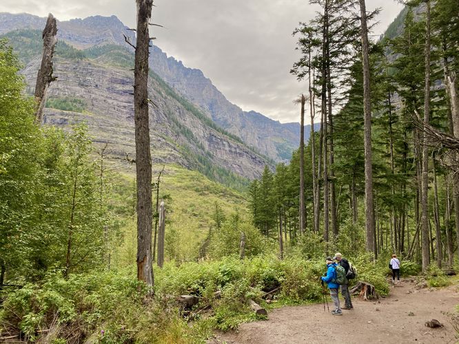 Hikers stand at the view along the trail