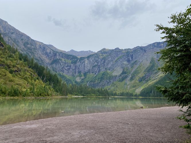 View from a bench along Avalanche Lake