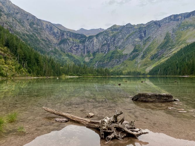 Scenic view of Avalanche Lake with green reflective waters, rocks, and a dead tree in the foreground
