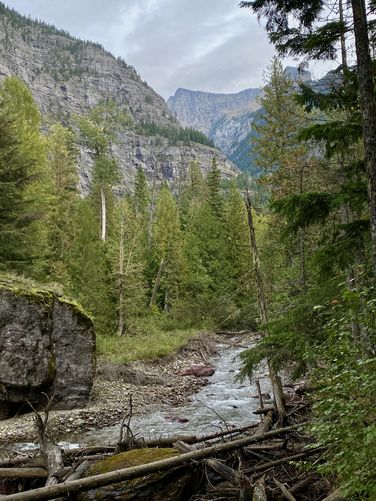 Portrait view of Avalanche Creek, alpine mountains, and a large glacial erratic (boulder)