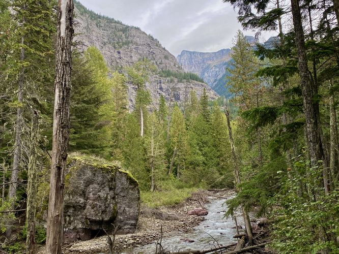 Beautiful view of Avalanche Creek, alpine mountains, and a large glacial erratic (boulder)