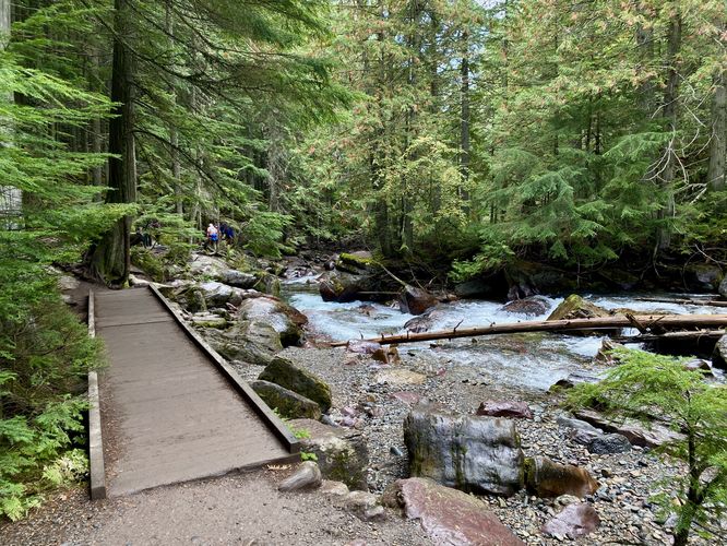 Scenic view of Avalanche Creek with a small footbridge