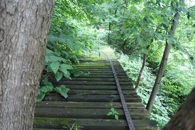 Avonmore Branch Trail