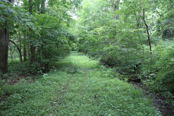 Picture 5 of Avonmore Branch Trail