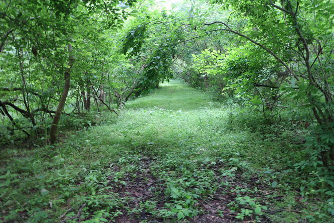 Picture 6 of Avonmore Branch Trail