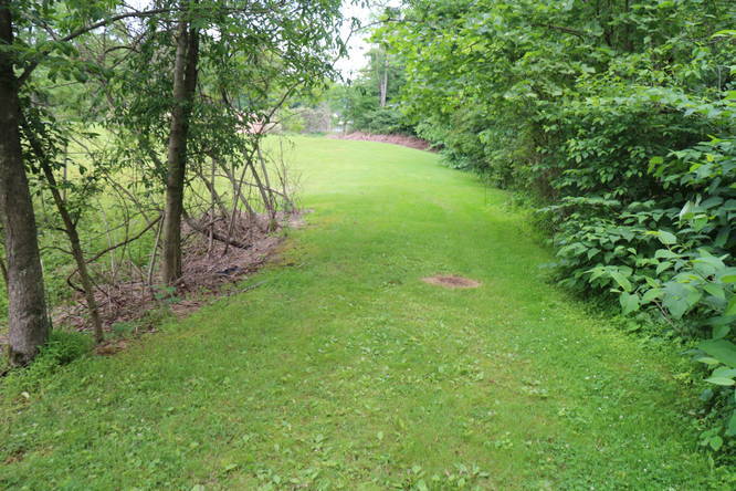 Picture 10 of Avonmore Branch Trail