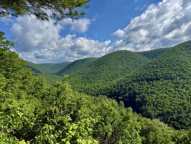 View / Overlook / Vista