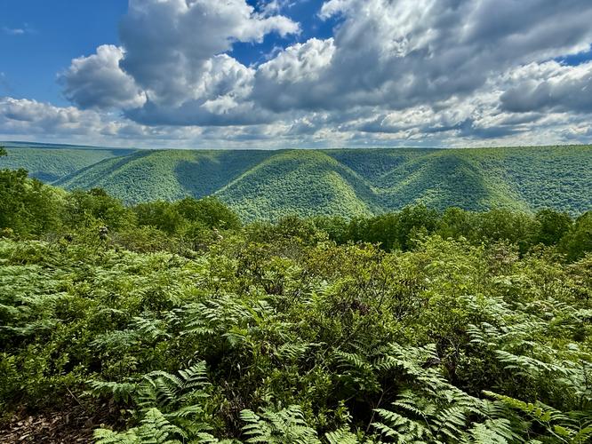 Slate Run Vista