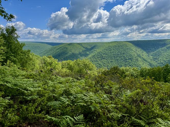 Slate Run Vista